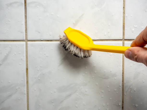 Best Residential Mold Remediation in Rittman, OH