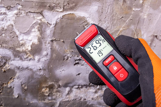 Best DIY Mold Remediation Support Services in Rittman, OH